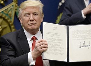 Photo of Open letter to Trump: Let refugees into liberal populated cities. Maybe then they'll realize the Danger.