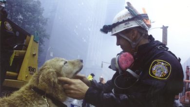 Photo of Remembering The Fallen 16 Years Later