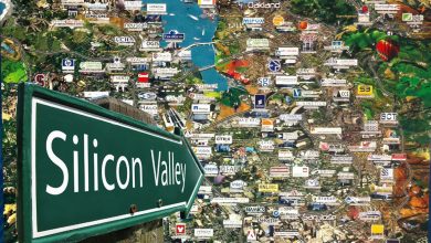 Photo of Silicon Valley Boss Perverts Child Pornography Law