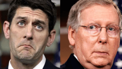 Photo of RINO ON RINO VIOLENCE! Ryan and McConnell to Tangle Over Entitlement Reform
