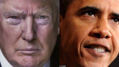 Photo of Sticks and Stones: Would you prefer BLUNT TRUTH or Polite Lies