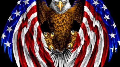 Photo of Freedom On Deck: Start a Fight, We'll Finish It!
