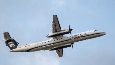Photo of Suicidal Plane Jacker Believed to be Dead