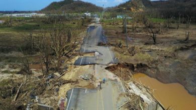 Photo of Liberal Puerto Rican Politicians Failed Puerto Rico