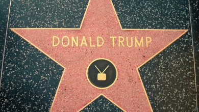 Photo of Trump Derangement Syndrome and the LAW: 3 Years for Defacing Hollywood Star