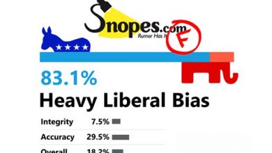 Photo of Are Fact Checking Websites Slanted?