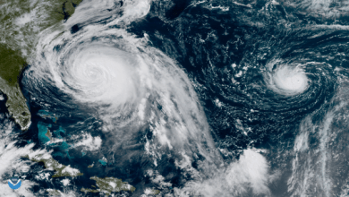 Photo of How Did HurricanerrMichael Compare to Other Recent Hurricanes