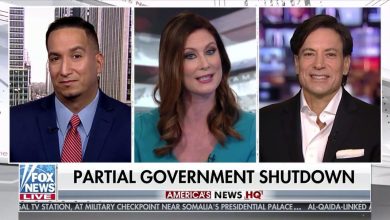 Photo of Partial Shutdown Debated: Who is to Blame?