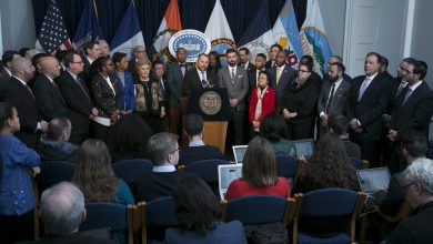 Photo of Inside the NYC City Council