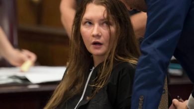 Photo of Anna Sorokin: The Fake New York Socialite Who Scammed $250,000