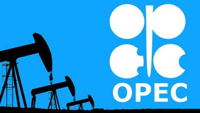 Photo of Perkins: Who Is the Biggest Sultan of Oil?