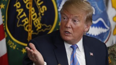 Photo of Trump Extends Olive Branch to Democrats AGAIN on Deportations