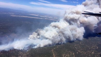 Photo of Arizona Wildfire Burns 7200 Acres of National Forest