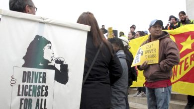 Photo of Facepalm: New York Approves Driver's Licenses for Illegals