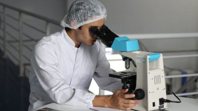 Photo of Researchers Eliminate HIV on Mice in Medical Breakthrough
