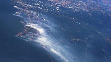 Photo of Smoke From Amazon Forest Fire Can be Seen From Space