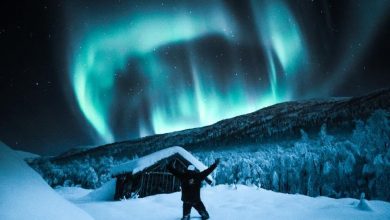 Photo of Dr. Bruce Hartman: Finlandia-A Simple Song that Could End Tribalism and American Discord