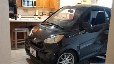 Photo of Florida Man Parks Smart Car in Kitchen to Protect it From Hurricane Dorian