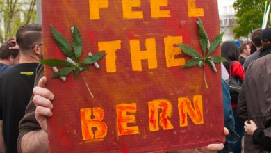 Photo of A Desperate Bernie Sanders Proposes Marijuana Legalization Plan to Sway Voters