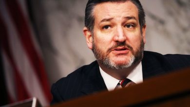 Photo of Cruz: Investigate Biden if “Credible Evidence” Exists