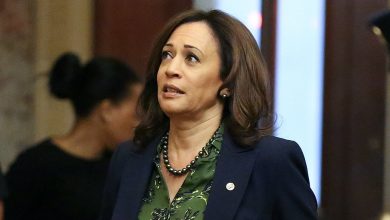 Photo of “Well, I, I, I don’t know”: Kamala Cannot Name a Law Giuliani Has Broken