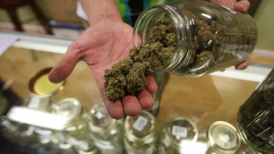 Photo of Dan Perkins: Marijuana Dispensaries Are A Robbery Target