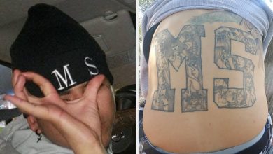 Photo of Build the Wall NOW! MS-13 Killers Plead Guilty to 2 Murders