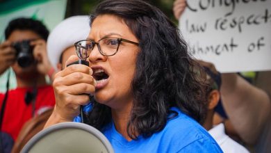 Photo of Tlaib: Ban Facial Recognition Tech/Experts: New Tech is Vital to Anti-Terror Strategy