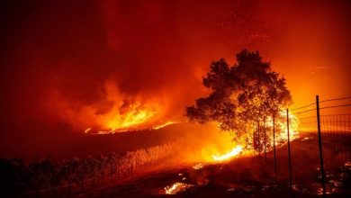 Photo of California Sonoma Wildfire Causes Massive Evacuations