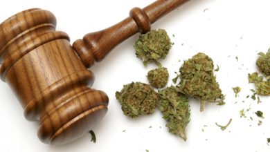 Photo of Congress Plans to Vote to Legalizing Marijuana on the Federal Level