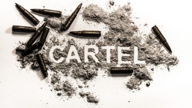 Photo of Mexican Cartel Kills 9 Americans/Trump Calls for War