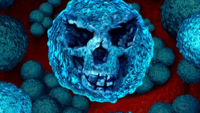 Photo of "Nightmare Bacteria" are becoming resistant to antibiotics: Should you be worried?