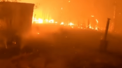 Photo of Australia Bushfires: All You Need to Know