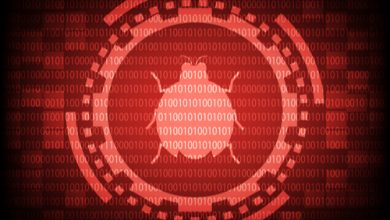 Photo of NSA and Microsoft Warn Users of Critical Windows 10 Vulnerability