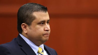 Photo of Zimmerman Sues Warren and Buttigieg Over Slanderous Comments