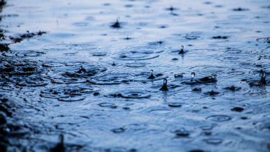 Photo of UK Deals With Severe Flooding