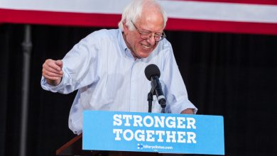 Photo of Polling/Early Results Show Big Wins for Bernie