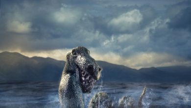 Photo of All You Need to Know About the “Canadian Loch Ness Monster”