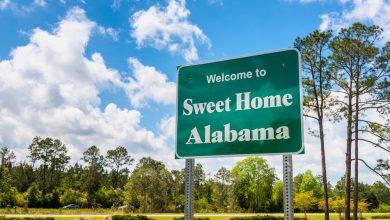 Photo of Dan Wos: Alabama Gun Owners Take a Stand