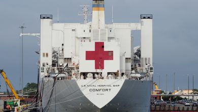 Photo of USNS Comfort Arrives in NYC