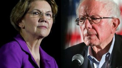 Photo of National Organization for Women Doesn't Want Warren to Endorse Sanders