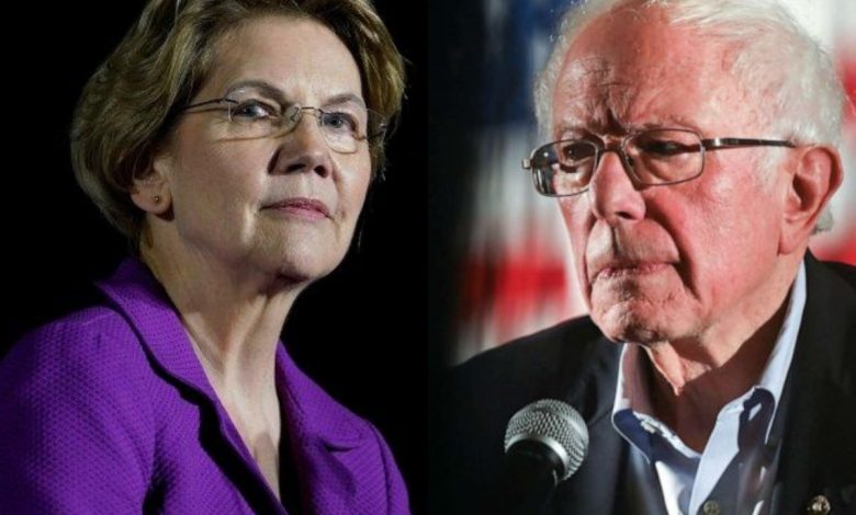 Collage of Bernie Sanders and Elizabeth Warren facing each other