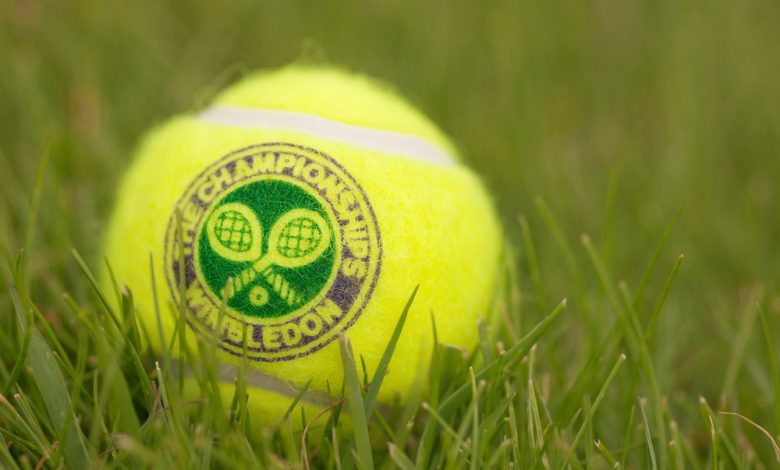 Tennis ball in the grass