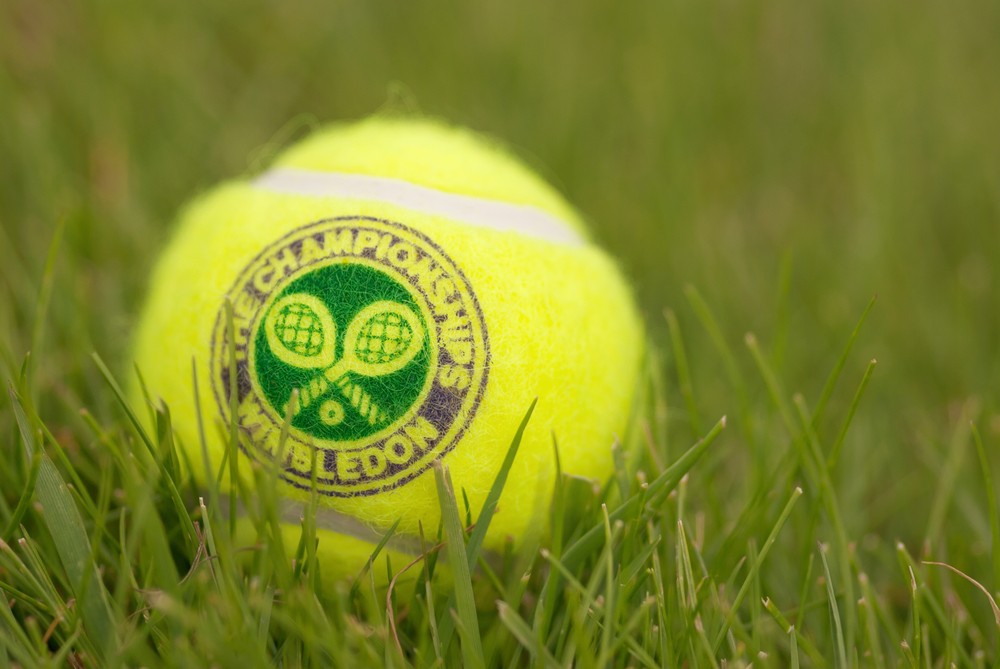 Tennis ball in the grass