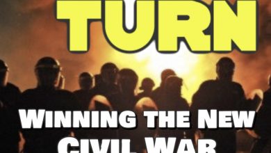 Photo of Book Review: Trump’s Turn: Winning the New Civil War by Ed Brodow