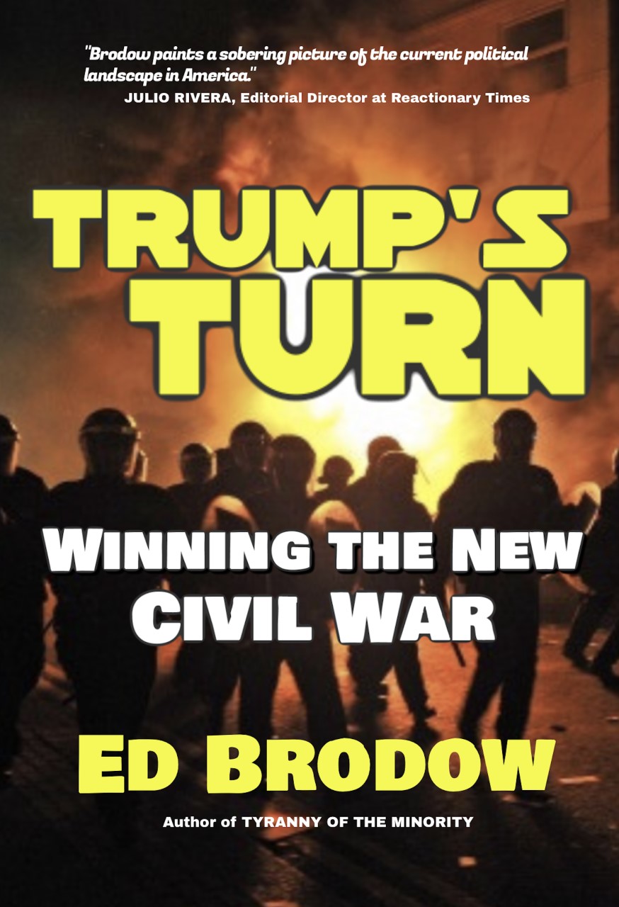 Trump's Turn: Winning the New Civil War Book Cover