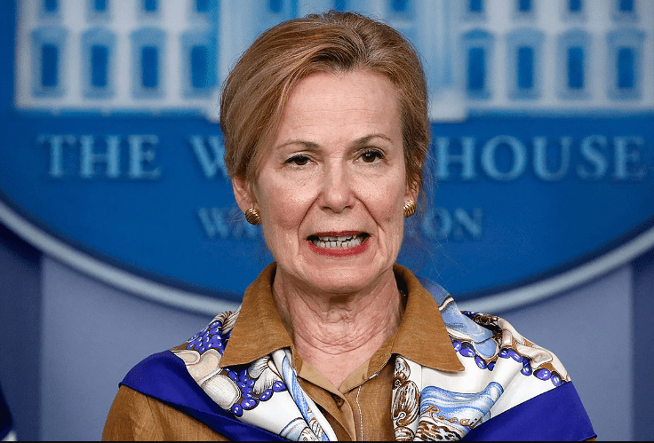 Image of Dr. Deborah Birx at White House conference