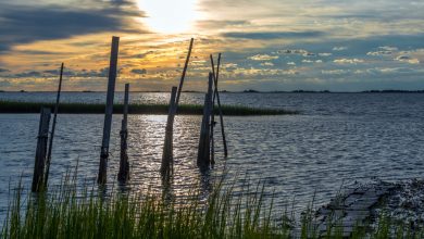 Photo of Robert F. Kennedy’s Granddaughter Goes Missing With Son at Chesapeake Bay