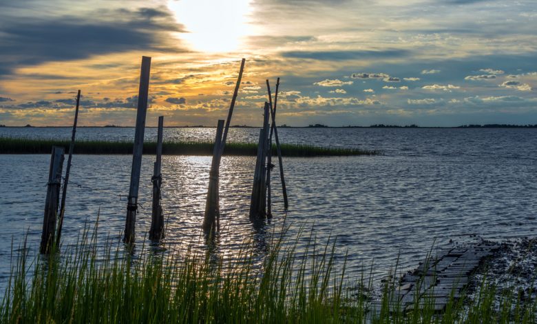 Image of Chesapeake Bay