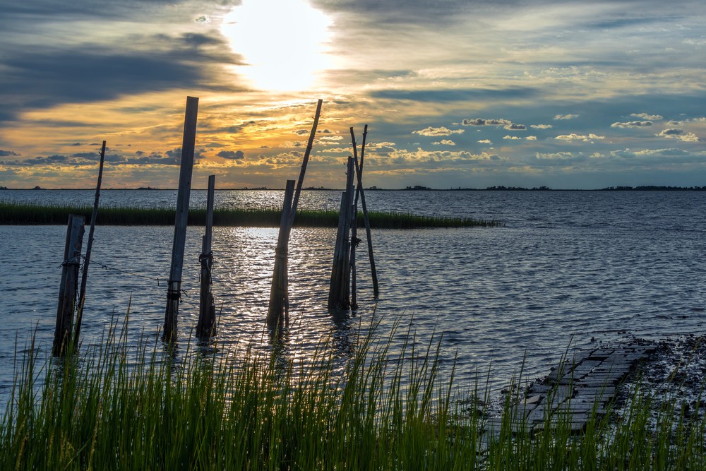 Image of Chesapeake Bay